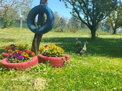 A garden outside L'oca Nera