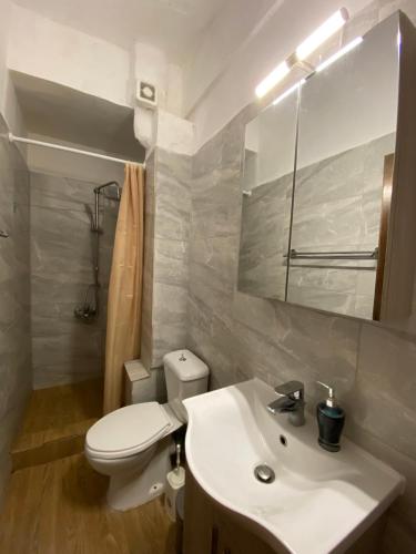 bagno bianco con servizi igienici e lavandino di Pansion Vasiliki a Ouranoupoli