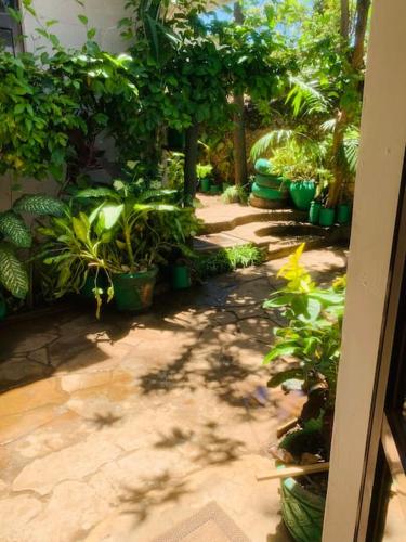 蒙巴薩的住宿－Imani’s home，庭院里种有盆栽植物和树木的花园