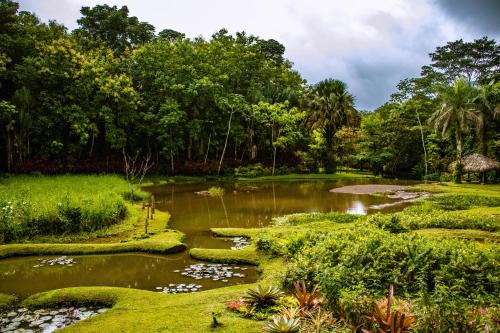 Un paisaje natural cerca del lodge
