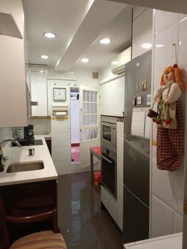 a kitchen with a sink and a refrigerator with a doll on it at Habitación Centro in Madrid