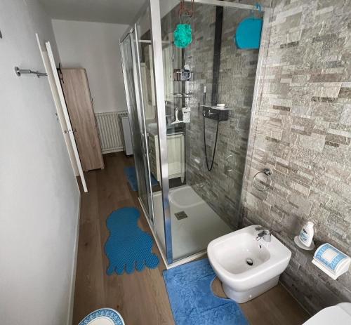 a bathroom with a shower and a toilet and a sink at Palazzo Cervesato: Camera Regina Margherita in Santo Stefano di Cadore