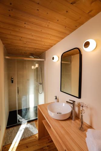 une salle de bain avec un lavabo et un miroir dans l'établissement Domaine Agricole Cotzé / Casa rural, à Enveitg