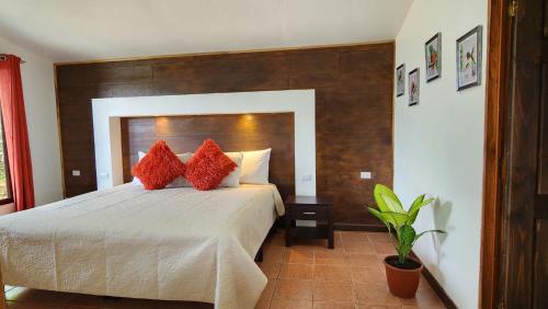 a bedroom with a large bed with red pillows at La Guayaba Monteverde in Monteverde Costa Rica