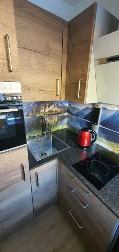 Kuchyň nebo kuchyňský kout v ubytování Alpenappartements Domicil include Jokercard