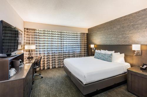 Handlery Hotel San Diego Image