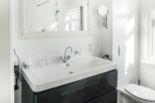 ein weißes Bad mit einem Waschbecken und einem WC in der Unterkunft Logies De Hooiberg in Lutjewinkel