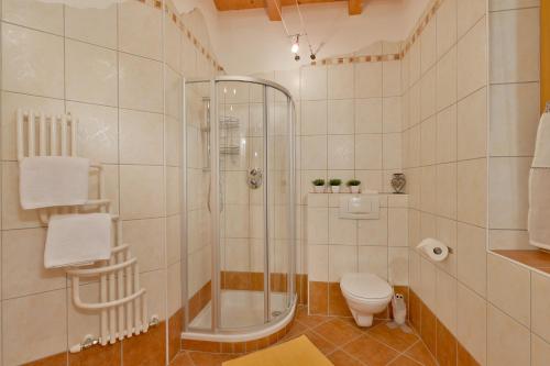 a bathroom with a shower and a toilet at Appartement Kugl in Fügen