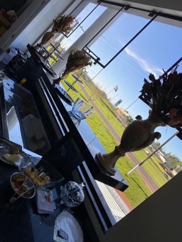 a room with a window with a bird statue on a table at GUARANY HOTEL PONTA PORÃ in Ponta Porã