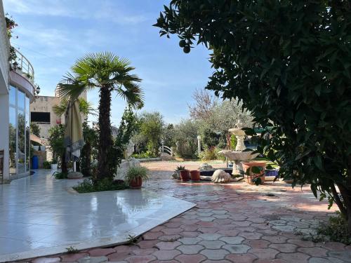 a patio with a palm tree and a table at Villa Kasa in Durrës