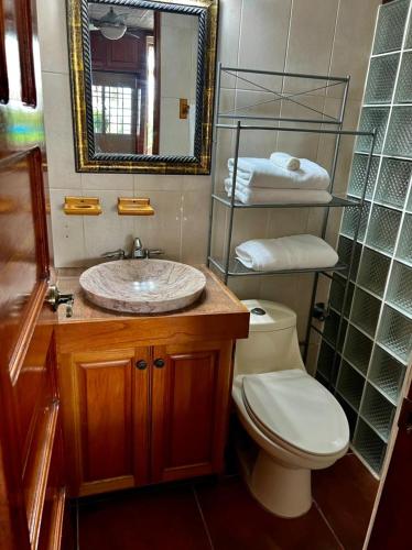a bathroom with a sink and a toilet and a mirror at Jardín del Edén in Bajo Boquete
