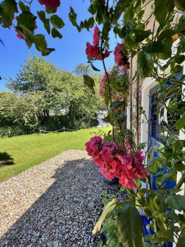 Gallery image of Adorable two bed Norfolk broads holiday home - river views with moorings & fishing in Stalham