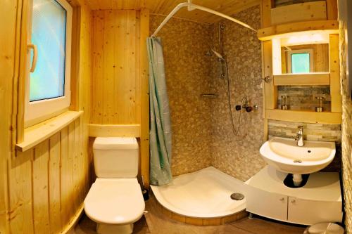 a bathroom with a shower and a toilet and a sink at Le Joly Chalet in Saint-Imier