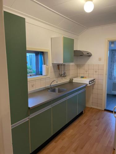 a kitchen with green cabinets and a sink at Boerenkiel Vakantiehuisjes in De Kiel