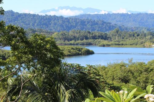 vistas a un lago en medio de un bosque en Eden Jungle Lodge, en Bocas Town