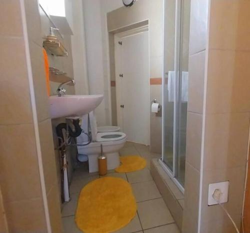 a bathroom with a toilet and a sink and a shower at Spacious 1 Bedroom, Self Catering Apartment in Glenwood, Durban in Durban