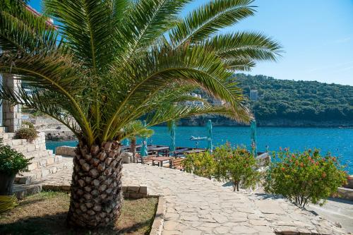 a palm tree on a path next to a body of water at Apartments Limunada in Utjeha