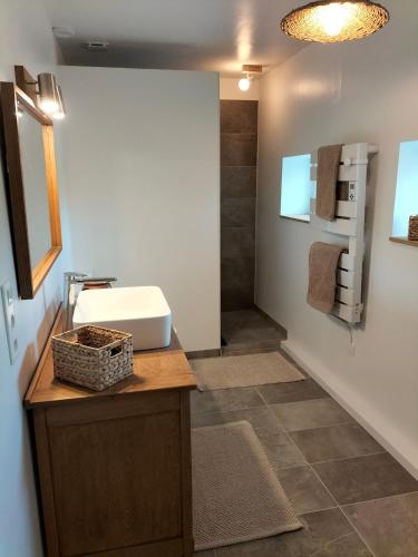 une salle de bain avec un lavabo et un miroir dans l'établissement Les prés du petit Morlu - proche Beauval, à Saint-Romain-sur-Cher
