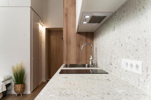uma cozinha com um lavatório e uma parede de betão em Air Apartment 112 em Vilnius