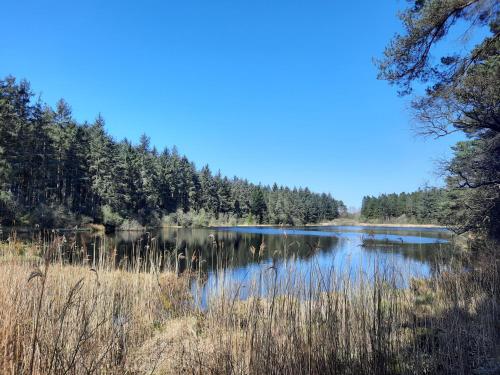 Naturlandschaft in der Nähe des Ferienhauses