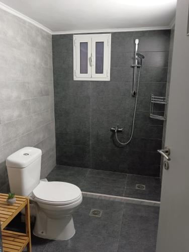 La salle de bains est pourvue d'une douche et de toilettes. dans l'établissement RENA APARTMENTS, à Magoúla