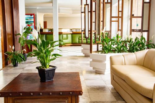 a lobby with a couch and a table and plants at HOTEL DOMHOF in Blumenau