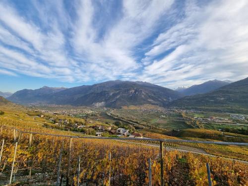 a view of a valley with mountains in the background at Studio Blackbird in Grimisuat