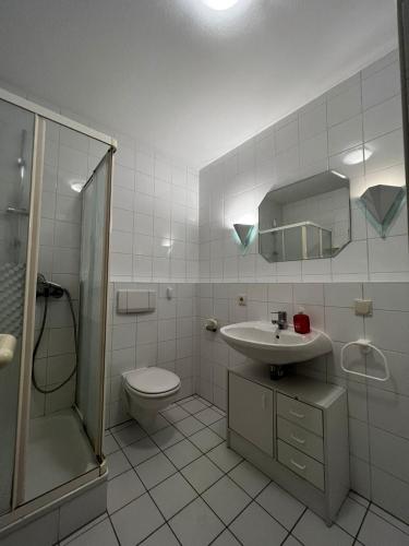 La salle de bains est pourvue d'un lavabo, de toilettes et d'une douche. dans l'établissement Komplette Wohnung 40m2 mit schöner Terrasse Niedernhausen, à Niedernhausen