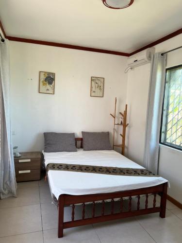 a bedroom with two beds and a window at Pasifika Guesthouse in Nadi
