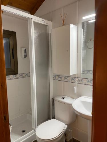 La salle de bains est pourvue de toilettes, d'une douche et d'un lavabo. dans l'établissement Duplex en el pirineo, à Rialp