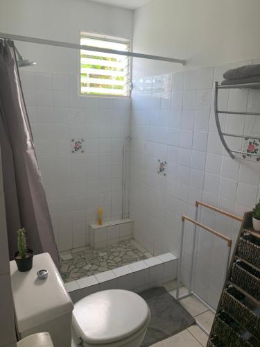 a white bathroom with a toilet and a shower at Logement vacances Gissac Sainte-Anne in Sainte-Anne