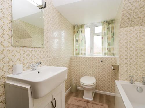 a bathroom with a sink and a toilet and a mirror at Lanes End in Sherborne