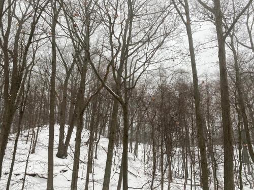 The Sanctuary at Deer Dune , Saugatuck v zimě