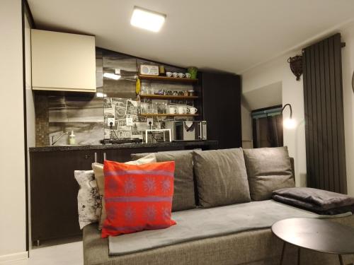 トルンにあるBeautiful Apartmentのリビングルーム(オレンジ色の枕とグレーのソファ付)