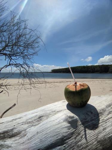 a coconut sitting on top of a log on the beach at Villa das aguas -Praia do saco -Próximo as lagoas dos Tambaquis e Mangue Seco -térreo in Estância