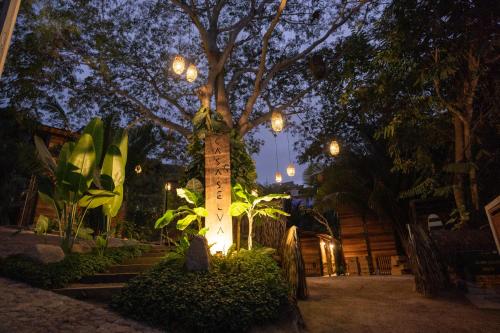 un árbol con luces encendidas por la noche en Casa Selva Sayulita en Sayulita