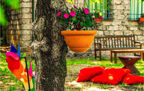 Appartamento Superior – Photos 3