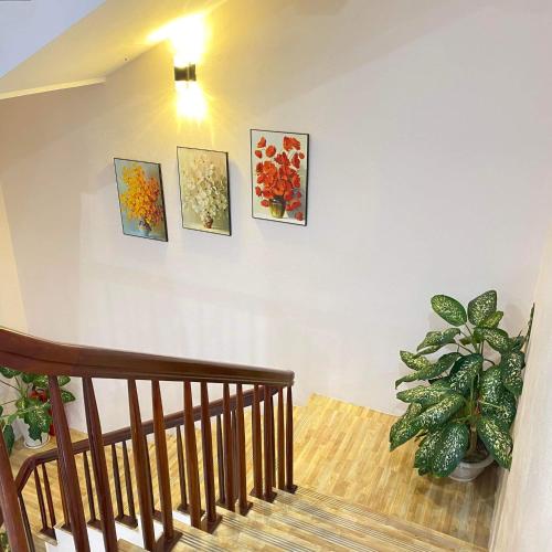 a staircase with paintings on the wall and a plant at GiaBinh Homestay in Cao Bằng