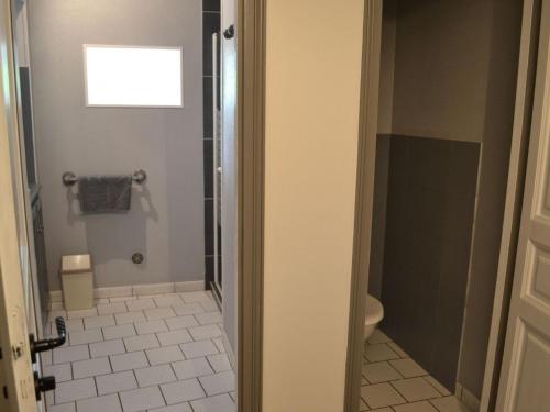 een badkamer met een douche en een toilet bij Gîte Lignières-Ambleville-Lignières-Sonneville, 3 pièces, 4 personnes - FR-1-653-59 in Lignières-Sonneville