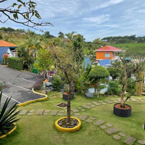 a garden with two trees in a yard at Homestay Tulip Garden Bảo Lộc in Bao Loc