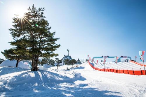 a tree in the snow next to a fence at Sono Felice Village VivaldiPark in Hongcheon