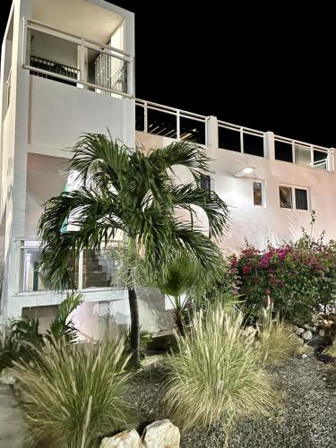 Zahrada ubytování Maho Beach House - Grand Ocean Suite - 2 Bedroom