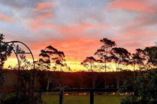 a sunset in a field with trees in the background at Graelynn Farm in Mangrove Mountain