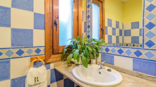 La salle de bains est pourvue d'un lavabo, d'un miroir et d'une plante. dans l'établissement Casita Mónica Órgiva by Ruralidays, à Órgiva