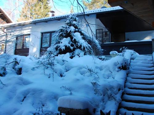 a snow covered tree in front of a house at Bungalow with garden in Kaumberg near Vienna in Kaumberg