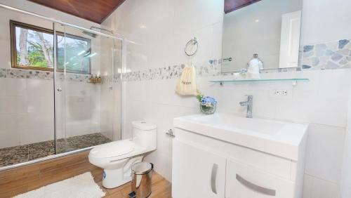 a bathroom with a toilet and a sink and a shower at Rio Verde by Villa Alejandro in Boquete