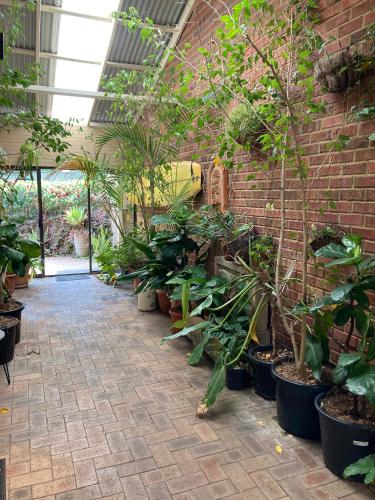 a room filled with lots of plants at Edge Of The Forest Motel in Margaret River Town