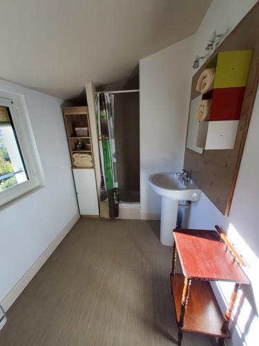 a small bathroom with a sink and a shower at Le clos d'André in Castelnaudary