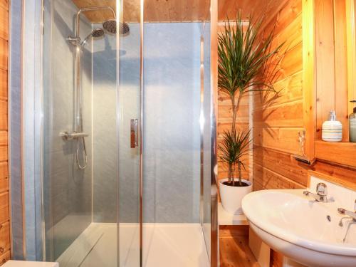 a bathroom with a shower and a sink at The Lodge in King's Lynn