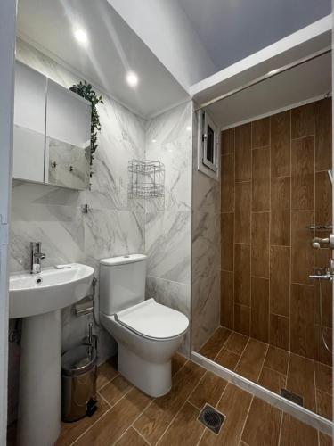 ein Bad mit einem WC, einem Waschbecken und einer Dusche in der Unterkunft Istos Apartment in Thessaloniki